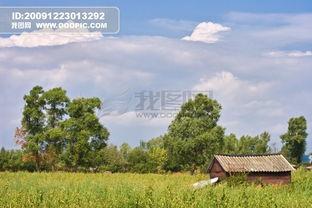 欧美田野文案素材图片,捕捉自然之美